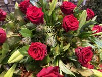 ein Bild aus dem Album